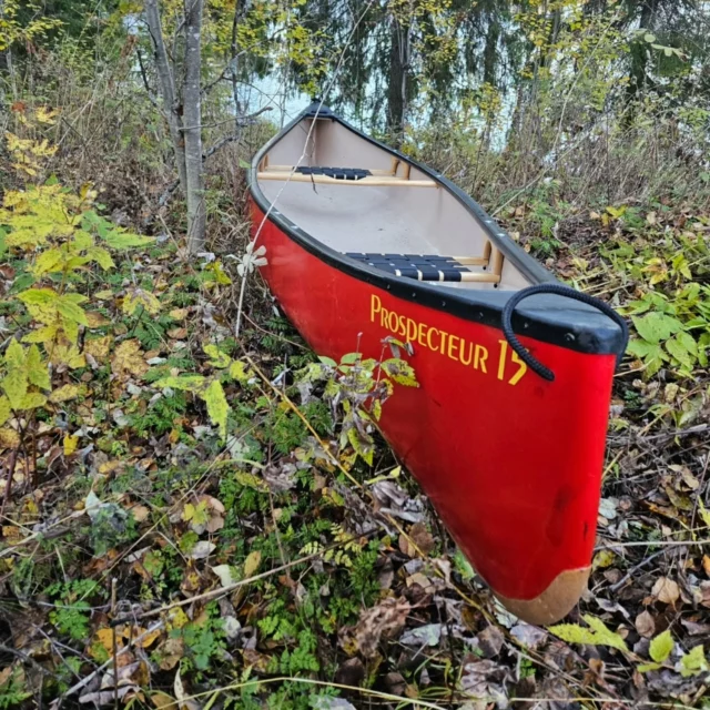 Säsongen går mot slutet trots högt och fint vatten här i Råneälven. Redan nu är det dags att börja blicka mot nästa. 28 oktober lägger vi nästa order på kanadensare från Esquif. Vi försöker hålla ett grundlager året runt med de populäraste modellerna, men vet du att du vill paddla en speciell modell och i exakt färg är det ett bra läge att agera nu och beställa.
Leverans i februari / mars 2025.

Kolla in hela utbudet på esquif.com. 

Vi och våra kunder är otroligt nöjda med kvaliten och egenskaperna på dessa kanadensare tillverkade i T-Formex. Äntligen finns ett material som är en fullvärdig ersättare till Royalex som ju inte tillverkas längre. Dessutom lanseras nu även en lättare version T-Formex Lite, som är något tunnare men fortfarande ptroligt tålig.

Prisex;
Prospecteur 15 keelstripe 31500 kr
Prospecteur 16 keelstripe 32500 kr
Pocket Canyon kr 31500 kr
Huron 15 Lite 28000 kr
Huron 16 lite 29000 kr

Välkommen att ta kontakt för info eller order:
info@canoeadventure.nu. 070-5425110//Oskar

PS: 9 st kanadensare från Esquif I lager nu för omgående leverans. Prospecteur/Huron/Pocket Canyon mfl. Frakt Stockholm/GBG 2000 kr

#canoeadventurenorth #madeinCanada #outdoor
#Esquifcanoes #canoeadventure
#T-formex
#whitewater 
#canoelife
#rånelife 
#paddle 
#padflesport